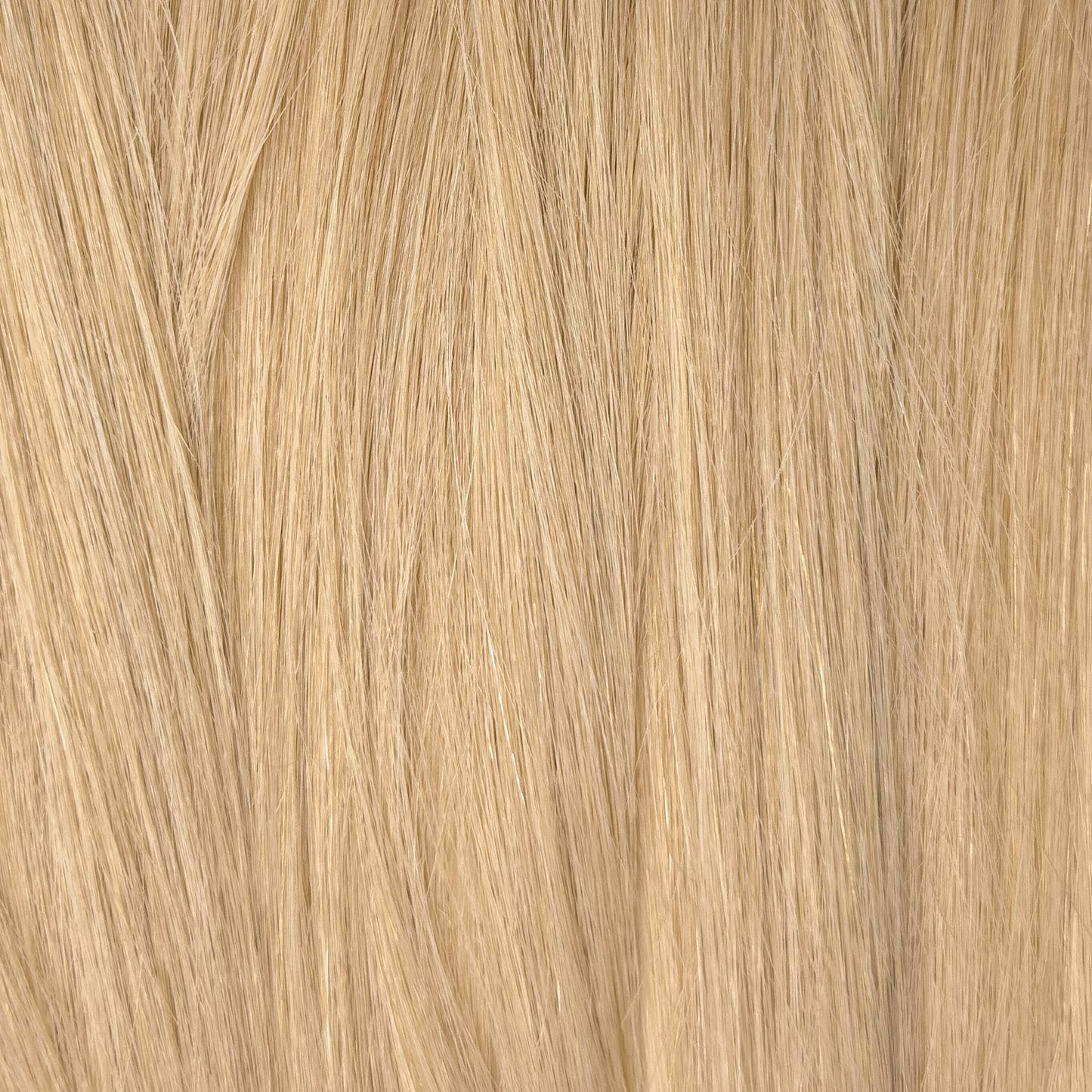 Tape-in Extensions – Crème Brûlée | Premium Echthaar