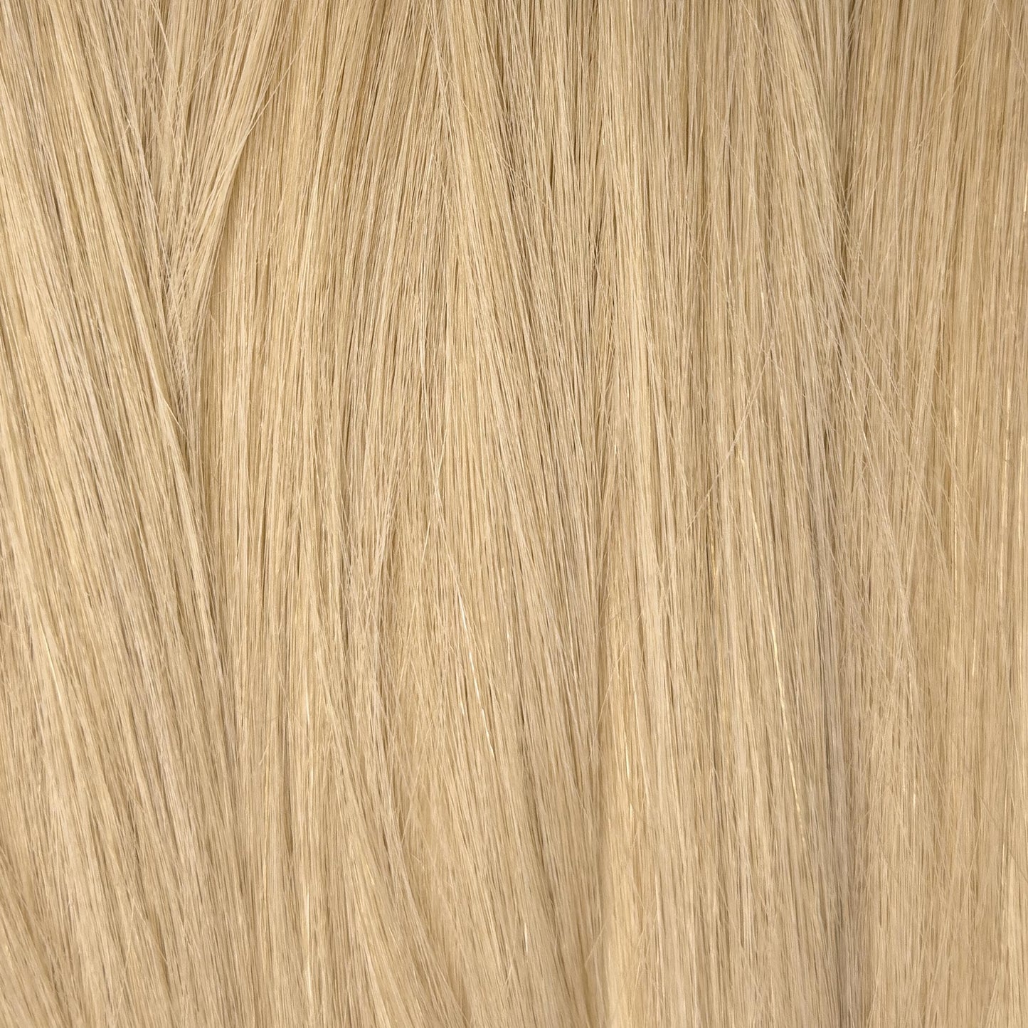 Tape-in Extensions – Farbe: Crème Brûlée