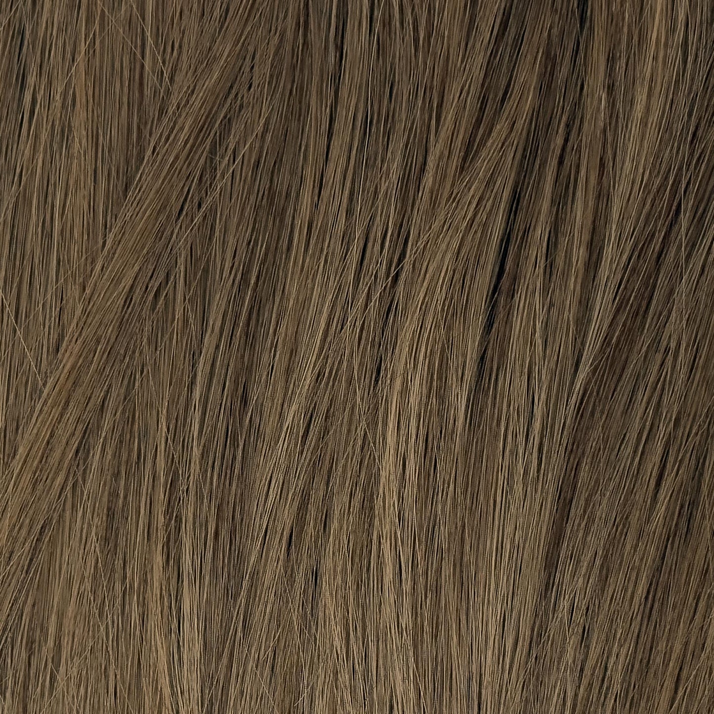 Tape-in Extensions – Farbe: Hazelnut