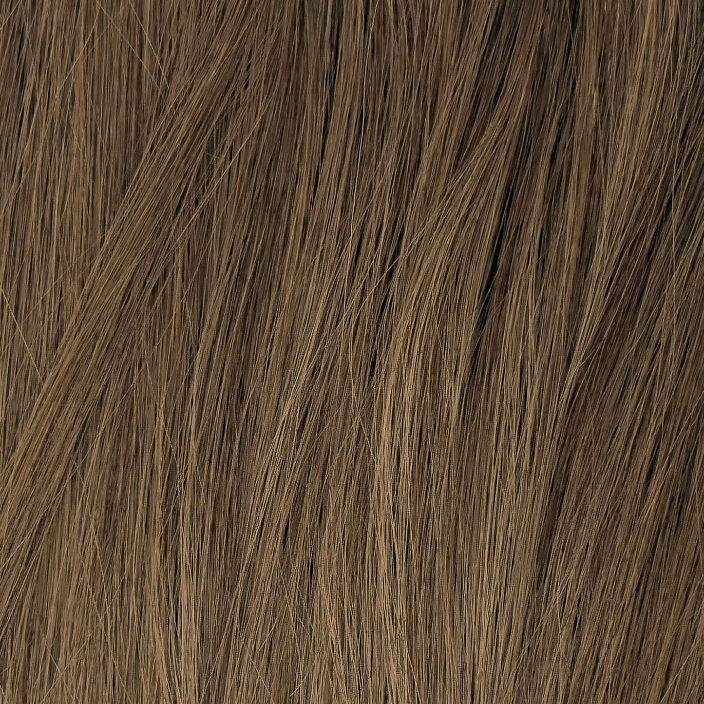 Tape-in Extensions – Hazelnut | Premium Echthaar
